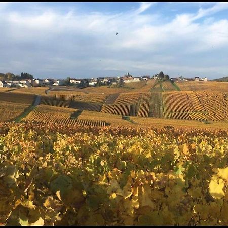 Gite En Champagne Le Sarment Cramant Zewnętrze zdjęcie
