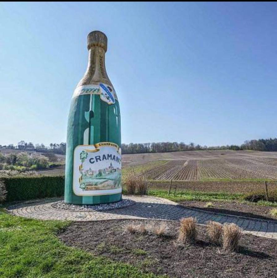 Gite En Champagne Le Sarment Cramant Zewnętrze zdjęcie
