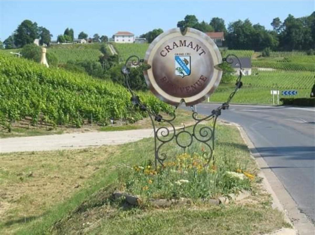 Gite En Champagne Le Sarment Cramant Zewnętrze zdjęcie