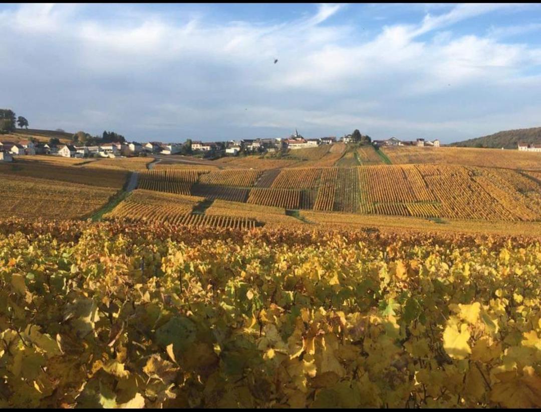 Gite En Champagne Le Sarment Cramant Zewnętrze zdjęcie