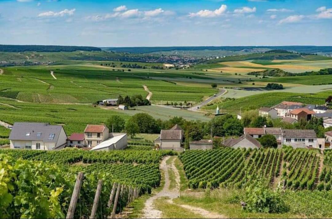 Gite En Champagne Le Sarment Cramant Zewnętrze zdjęcie